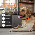 Elektrische Trainingshalsband voor Honden