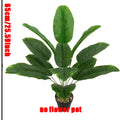 https://ae01.alicdn.com/kf/S34fe2373d6fe452190bacf1885e540eeu.jpg