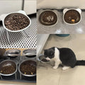 Schuine RVS Voederbak voor Katten en Honden – Voor Voer en Water