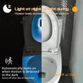 Toilet Nachtlamp met Bewegingssensor – 7 Kleuren LED Verlichting