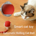 Interactieve Kattenbal met Automatische Obstakelvermijding voor Actieve Kittens