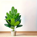 https://ae01.alicdn.com/kf/S9fbef9a809a949c2a51da47b29cad620T.jpg