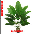 https://ae01.alicdn.com/kf/Sa9a64f59793b432c8061f02e4173d343J.jpg