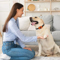 Elektrische Trainingshalsband voor Honden
