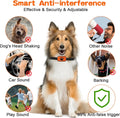 Elektrische Trainingshalsband voor Honden