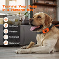 Elektrische Trainingshalsband voor Honden